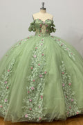 Off Shoulder Sleeveless Beaded 3D Flower Appliques Sage Green Quinceañera Dress Y1028