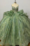 Off Shoulder Sleeveless Beaded Crystal Sage Green Glitter Quinceañera Dress Y1029