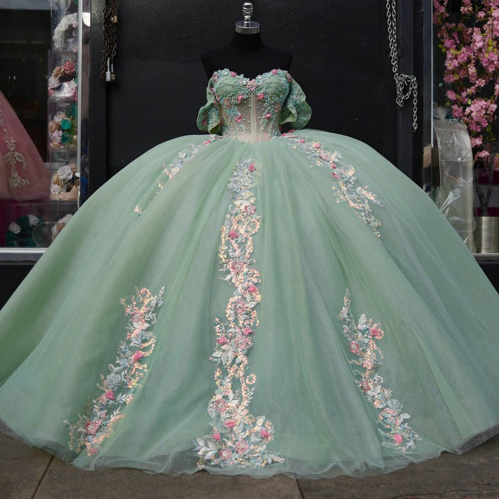 Vestido de Quinceañera Verde Menta con Hombros Descubiertos, sin Mangas, con Cuentas y Flores 3D YQ1002