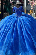 Off Shoulder Sleeveless 3D Flower Appliques Bow Knot Royal Blue Quinceañera Dress YQ1013