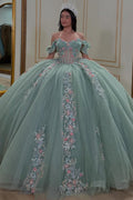 Off Shoulder Sleeveless Beaded 3D Flower Appliques Mint Green Quinceañera Dress YQ1043