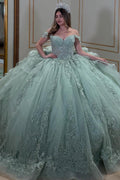 Off Shoulder Sleeveless Appliques Ruffles Sage Green Quinceañera Dress YQ1045