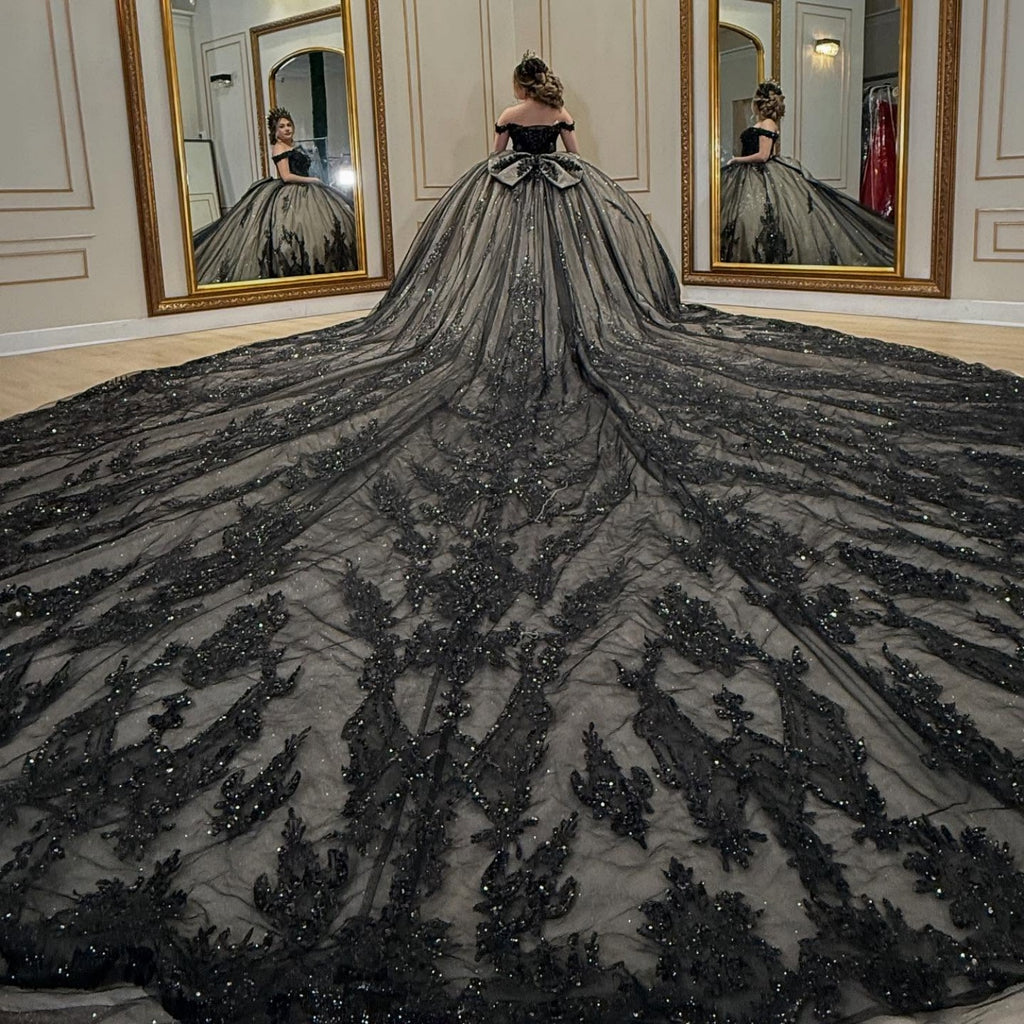 Off Shoulder Sleeveless Sequins Appliques Bow Knot Black Sweet 15 Quinceañera Dress YQ1073